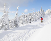 Skibus do Dwóch Dolin